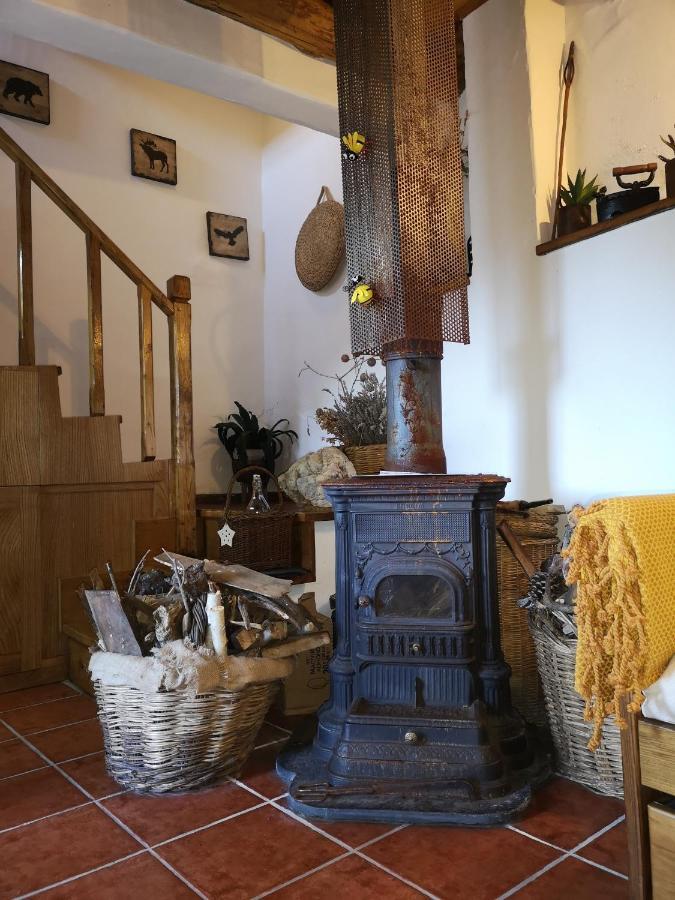 Toca Do Esquilo - Montesinho Villa Montezinho Екстериор снимка