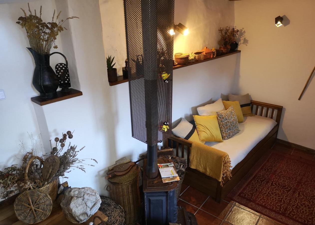 Toca Do Esquilo - Montesinho Villa Montezinho Екстериор снимка